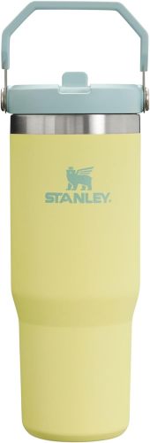 STANLEY IceFlow Stainless Steel Tumbler with Straw, Vacuum Insulated Water Bottle for Home, Office or Car, Reusable Cup with Straw Leak Resistant Flip