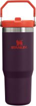 STANLEY IceFlow Stainless Steel Tumbler with Straw, Vacuum Insulated Water Bottle for Home, Office or Car, Reusable Cup with Straw Leak Resistant Flip