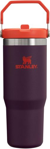 STANLEY IceFlow Stainless Steel Tumbler with Straw, Vacuum Insulated Water Bottle for Home, Office or Car, Reusable Cup with Straw Leak Resistant Flip