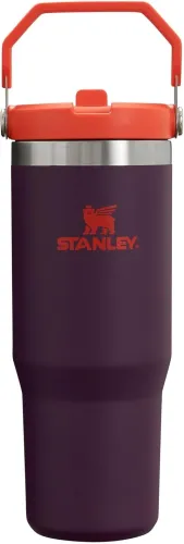 STANLEY IceFlow Stainless Steel Tumbler with Straw, Vacuum Insulated Water Bottle for Home, Office or Car, Reusable Cup with Straw Leak Resistant Flip