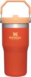 STANLEY IceFlow Stainless Steel Tumbler with Straw, Vacuum Insulated Water Bottle for Home, Office or Car, Reusable Cup with Straw Leak Resistant Flip
