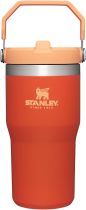 STANLEY IceFlow Stainless Steel Tumbler with Straw, Vacuum Insulated Water Bottle for Home, Office or Car, Reusable Cup with Straw Leak Resistant Flip