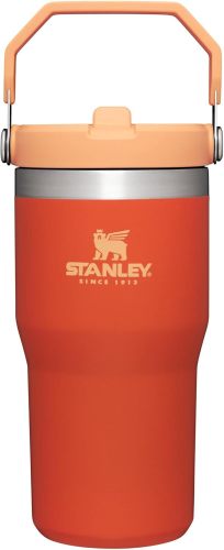 STANLEY IceFlow Stainless Steel Tumbler with Straw, Vacuum Insulated Water Bottle for Home, Office or Car, Reusable Cup with Straw Leak Resistant Flip