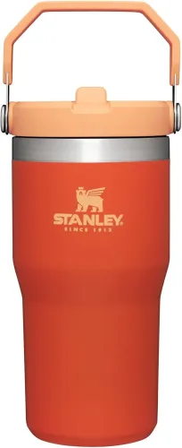 STANLEY IceFlow Stainless Steel Tumbler with Straw, Vacuum Insulated Water Bottle for Home, Office or Car, Reusable Cup with Straw Leak Resistant Flip
