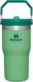 STANLEY IceFlow Stainless Steel Tumbler with Straw, Vacuum Insulated Water Bottle for Home, Office or Car, Reusable Cup with Straw Leak Resistant Flip
