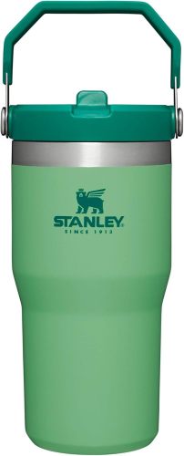 STANLEY IceFlow Stainless Steel Tumbler with Straw, Vacuum Insulated Water Bottle for Home, Office or Car, Reusable Cup with Straw Leak Resistant Flip