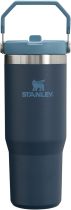 STANLEY IceFlow Stainless Steel Tumbler with Straw, Vacuum Insulated Water Bottle for Home, Office or Car, Reusable Cup with Straw Leak Resistant Flip