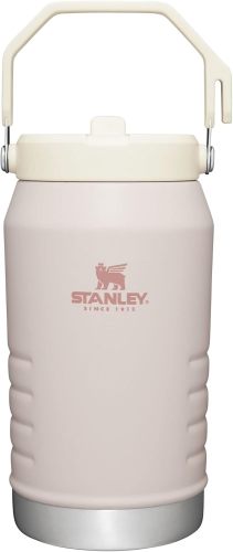 STANLEY IceFlow Stainless Steel Tumbler with Straw, Vacuum Insulated Water Bottle for Home, Office or Car, Reusable Cup with Straw Leak Resistant Flip