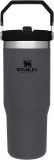 STANLEY IceFlow Stainless Steel Tumbler with Straw, Vacuum Insulated Water Bottle for Home, Office or Car, Reusable Cup with Straw Leak Resistant Flip
