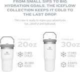 STANLEY IceFlow Stainless Steel Tumbler with Straw, Vacuum Insulated Water Bottle for Home, Office or Car, Reusable Cup with Straw Leak Resistant Flip
