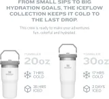 STANLEY IceFlow Stainless Steel Tumbler with Straw, Vacuum Insulated Water Bottle for Home, Office or Car, Reusable Cup with Straw Leak Resistant Flip