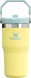 STANLEY IceFlow Stainless Steel Tumbler with Straw, Vacuum Insulated Water Bottle for Home, Office or Car, Reusable Cup with Straw Leak Resistant Flip