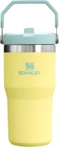 STANLEY IceFlow Stainless Steel Tumbler with Straw, Vacuum Insulated Water Bottle for Home, Office or Car, Reusable Cup with Straw Leak Resistant Flip