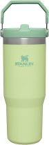 STANLEY IceFlow Stainless Steel Tumbler with Straw, Vacuum Insulated Water Bottle for Home, Office or Car, Reusable Cup with Straw Leak Resistant Flip