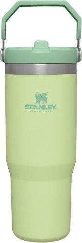 STANLEY IceFlow Stainless Steel Tumbler with Straw, Vacuum Insulated Water Bottle for Home, Office or Car, Reusable Cup with Straw Leak Resistant Flip