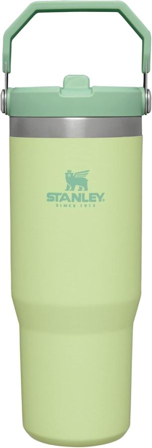 STANLEY IceFlow Stainless Steel Tumbler with Straw, Vacuum Insulated Water Bottle for Home, Office or Car, Reusable Cup with Straw Leak Resistant Flip