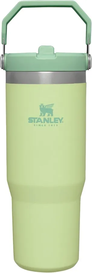 STANLEY IceFlow Stainless Steel Tumbler with Straw, Vacuum Insulated Water Bottle for Home, Office or Car, Reusable Cup with Straw Leak Resistant Flip