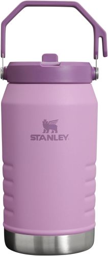 STANLEY IceFlow Stainless Steel Tumbler with Straw, Vacuum Insulated Water Bottle for Home, Office or Car, Reusable Cup with Straw Leak Resistant Flip