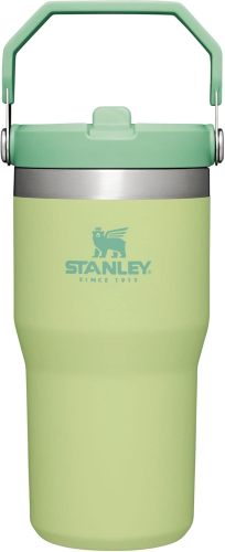 STANLEY IceFlow Stainless Steel Tumbler with Straw, Vacuum Insulated Water Bottle for Home, Office or Car, Reusable Cup with Straw Leak Resistant Flip