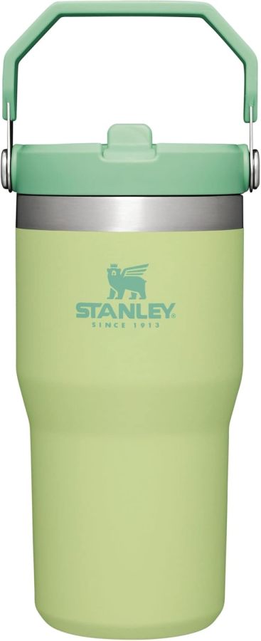STANLEY IceFlow Stainless Steel Tumbler with Straw, Vacuum Insulated Water Bottle for Home, Office or Car, Reusable Cup with Straw Leak Resistant Flip