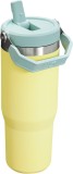 STANLEY IceFlow Stainless Steel Tumbler with Straw, Vacuum Insulated Water Bottle for Home, Office or Car, Reusable Cup with Straw Leak Resistant Flip