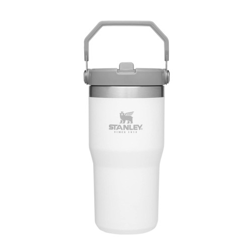 STANLEY IceFlow Stainless Steel Tumbler with Straw, Vacuum Insulated Water Bottle for Home, Office or Car, Reusable Cup with Straw Leak Resistant Flip