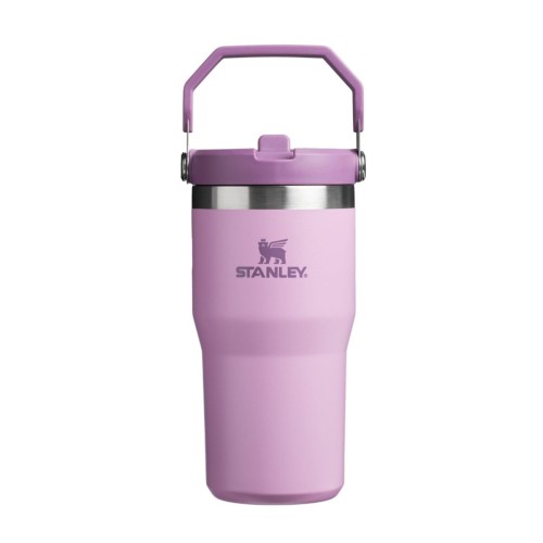 STANLEY IceFlow Stainless Steel Tumbler with Straw, Vacuum Insulated Water Bottle for Home, Office or Car, Reusable Cup with Straw Leak Resistant Flip