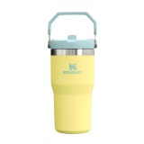 STANLEY IceFlow Stainless Steel Tumbler with Straw, Vacuum Insulated Water Bottle for Home, Office or Car, Reusable Cup with Straw Leak Resistant Flip