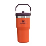 STANLEY IceFlow Stainless Steel Tumbler with Straw, Vacuum Insulated Water Bottle for Home, Office or Car, Reusable Cup with Straw Leak Resistant Flip