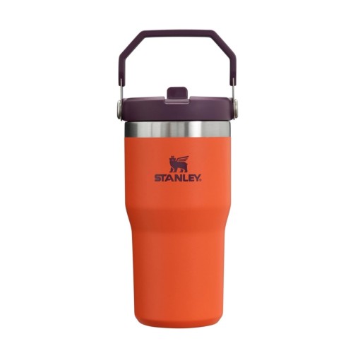 STANLEY IceFlow Stainless Steel Tumbler with Straw, Vacuum Insulated Water Bottle for Home, Office or Car, Reusable Cup with Straw Leak Resistant Flip