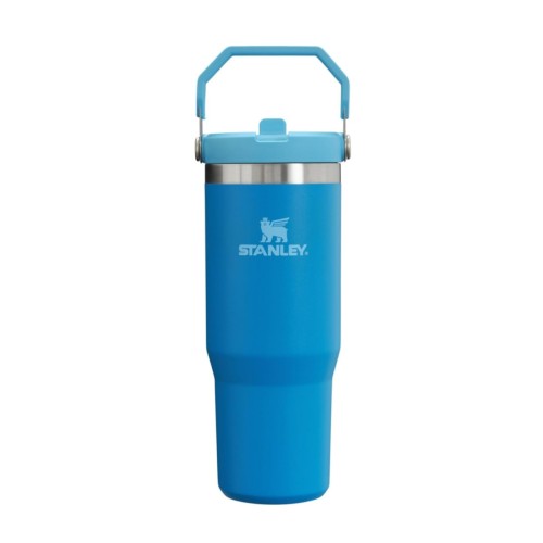 STANLEY IceFlow Stainless Steel Tumbler with Straw, Vacuum Insulated Water Bottle for Home, Office or Car, Reusable Cup with Straw Leak Resistant Flip
