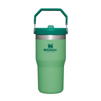STANLEY IceFlow Stainless Steel Tumbler with Straw, Vacuum Insulated Water Bottle for Home, Office or Car, Reusable Cup with Straw Leak Resistant Flip