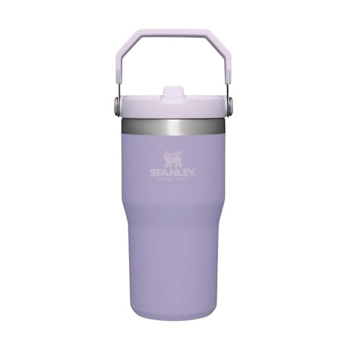 STANLEY IceFlow Stainless Steel Tumbler with Straw, Vacuum Insulated Water Bottle for Home, Office or Car, Reusable Cup with Straw Leak Resistant Flip