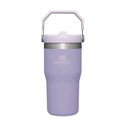 STANLEY IceFlow Stainless Steel Tumbler with Straw, Vacuum Insulated Water Bottle for Home, Office or Car, Reusable Cup with Straw Leak Resistant Flip