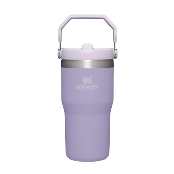 STANLEY IceFlow Stainless Steel Tumbler with Straw, Vacuum Insulated Water Bottle for Home, Office or Car, Reusable Cup with Straw Leak Resistant Flip