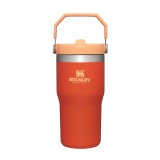 STANLEY IceFlow Stainless Steel Tumbler with Straw, Vacuum Insulated Water Bottle for Home, Office or Car, Reusable Cup with Straw Leak Resistant Flip