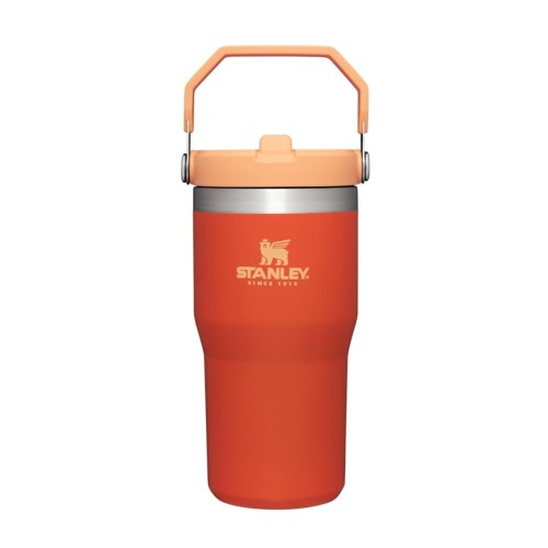 STANLEY IceFlow Stainless Steel Tumbler with Straw, Vacuum Insulated Water Bottle for Home, Office or Car, Reusable Cup with Straw Leak Resistant Flip