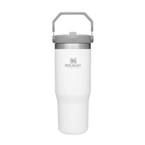 STANLEY IceFlow Stainless Steel Tumbler with Straw, Vacuum Insulated Water Bottle for Home, Office or Car, Reusable Cup with Straw Leak Resistant Flip