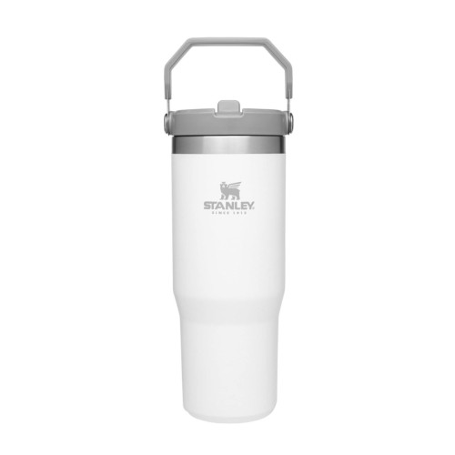 STANLEY IceFlow Stainless Steel Tumbler with Straw, Vacuum Insulated Water Bottle for Home, Office or Car, Reusable Cup with Straw Leak Resistant Flip
