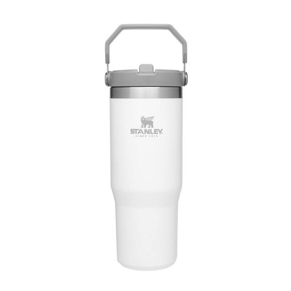 STANLEY IceFlow Stainless Steel Tumbler with Straw, Vacuum Insulated Water Bottle for Home, Office or Car, Reusable Cup with Straw Leak Resistant Flip