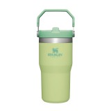 STANLEY IceFlow Stainless Steel Tumbler with Straw, Vacuum Insulated Water Bottle for Home, Office or Car, Reusable Cup with Straw Leak Resistant Flip