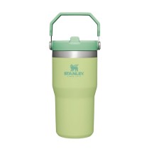 STANLEY IceFlow Stainless Steel Tumbler with Straw, Vacuum Insulated Water Bottle for Home, Office or Car, Reusable Cup with Straw Leak Resistant Flip