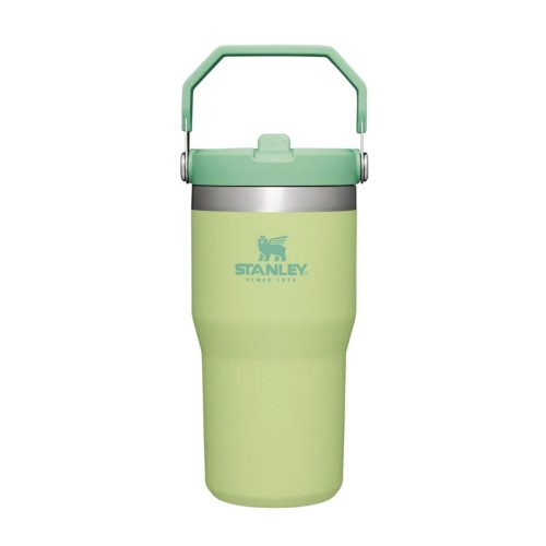 STANLEY IceFlow Stainless Steel Tumbler with Straw, Vacuum Insulated Water Bottle for Home, Office or Car, Reusable Cup with Straw Leak Resistant Flip