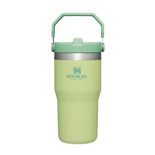 STANLEY IceFlow Stainless Steel Tumbler with Straw, Vacuum Insulated Water Bottle for Home, Office or Car, Reusable Cup with Straw Leak Resistant Flip