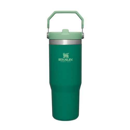 STANLEY IceFlow Stainless Steel Tumbler with Straw, Vacuum Insulated Water Bottle for Home, Office or Car, Reusable Cup with Straw Leak Resistant Flip