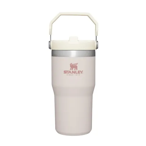 STANLEY IceFlow Stainless Steel Tumbler with Straw, Vacuum Insulated Water Bottle for Home, Office or Car, Reusable Cup with Straw Leak Resistant Flip