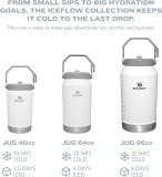 STANLEY IceFlow Stainless Steel Tumbler with Straw, Vacuum Insulated Water Bottle for Home, Office or Car, Reusable Cup with Straw Leak Resistant Flip