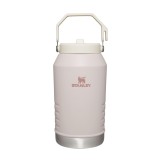 STANLEY IceFlow Stainless Steel Tumbler with Straw, Vacuum Insulated Water Bottle for Home, Office or Car, Reusable Cup with Straw Leak Resistant Flip