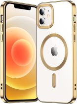 Temdan for iPhone 16 Pro Case Clear, [Compatible with Magsafe] Shockproof Slim Megnetic Phone Case for iPhone 16 Pro, Transparent