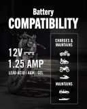 Battery Tender Plus 12V 1.25 AMP Car & Motorcycle Battery Charger and Maintainer, Float Charger for Automotive, and ATVs - Smarter Than a Trickle Charger